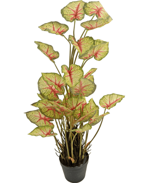 Kunstig Caladium Rød/Grønn 90cm