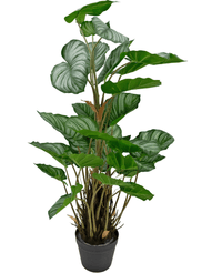 Kunstig Calathea Confusion 90cm