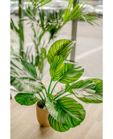 Kunstig Calathea Fasciata 53cm