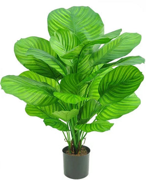 Kunstig Calathea Fasciata Fyldig 72cm