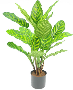 Kunstig Calathea Makoyana 45cm