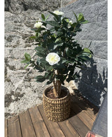 Kunstig Camellia Japonica 100cm