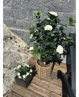 Kunstig Camellia Japonica 100cm