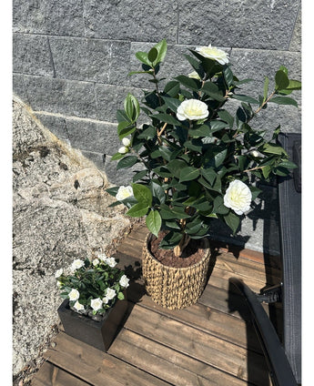Kunstig Camellia Japonica 100cm