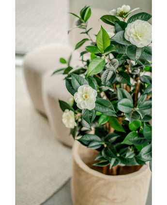 Kunstig Camellia Japonica 100cm
