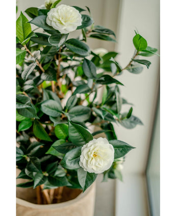 Kunstig Camellia Japonica 100cm