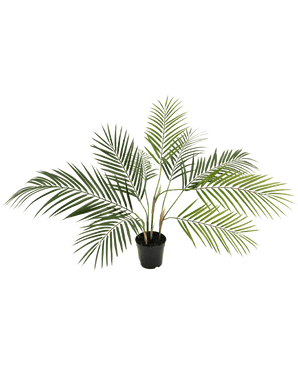 Kunstig Chamaedorea Palme Grønn 48cm