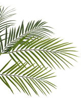 Kunstig palme Chamaedorea 83 cm i krukke