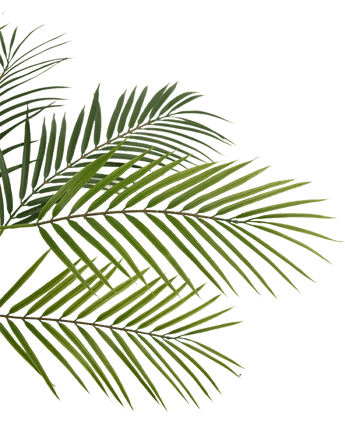 Kunstig palme Chamaedorea 83 cm i krukke