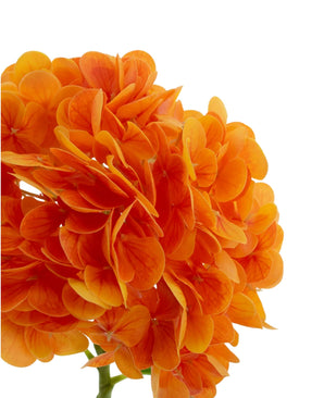 Kunstig Charlotte Hortensia Real Touch Oransje 49 cm