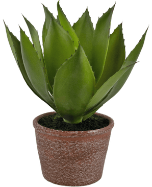 Kunstig "CowHorn" Agave Grønn 25 cm