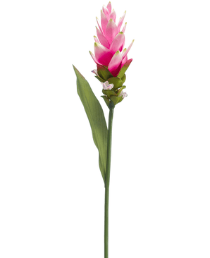 Kunstig Curcuma Stilk Rosa 80cm