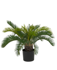 Kunstig Cycas Palme Deluxe UV 70cm