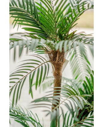 Kunstig Cycas Palme Tre 135cm