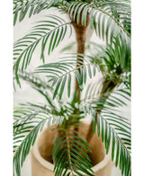 Kunstig Cycas Palme Tre 135cm