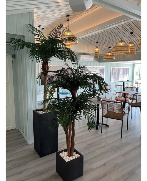 Kunstig Cycas Palme Tre 165cm