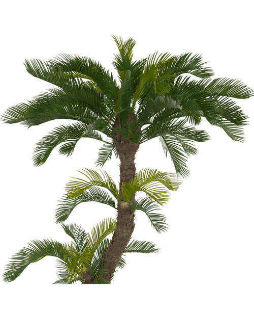 Kunstig Cycas Palme Twist UV 160cm
