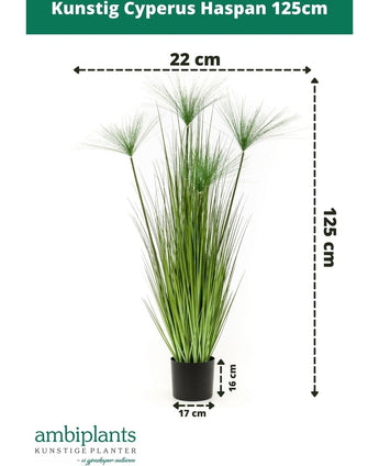 Kunstig Cyperus Haspan 125cm