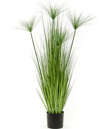 Kunstig Cyperus Haspan 125cm