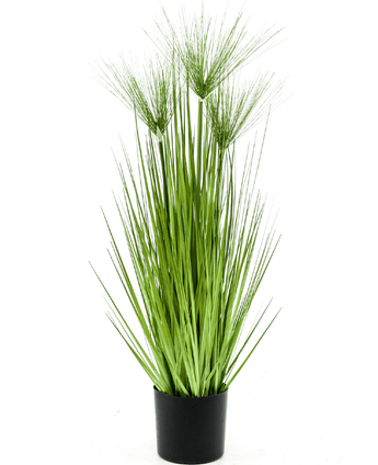 Kunstig Cyperus Haspan 75cm