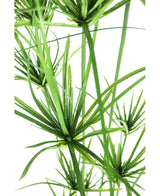 Kunstig Cyperus Papyrus 140cm