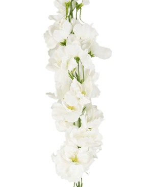 Kunstig Delphinium Real Touch Hvit 90cm