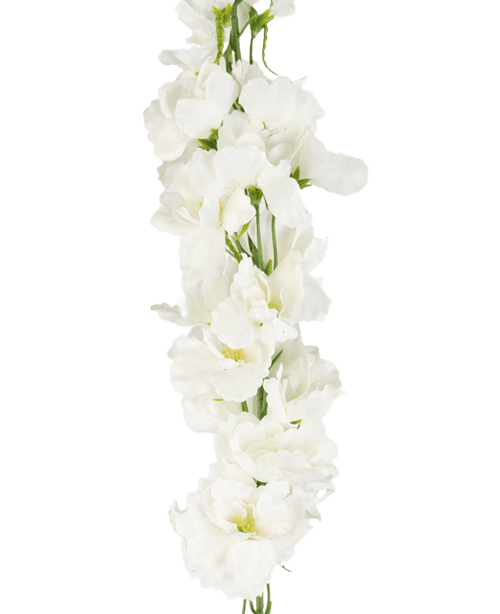Kunstig Delphinium Real Touch Hvit 90cm