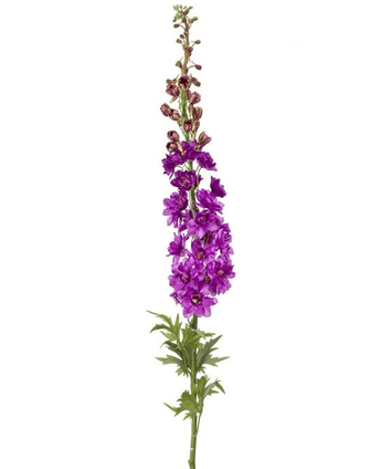 Kunstig Delphinium Stilk Lilla XL 130cm