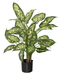 Kunstig Dieffenbachia 70 cm