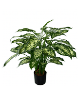 Kunstig Dieffenbachia Deluxe 75cm