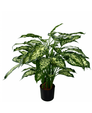 Kunstig Dieffenbachia Deluxe 75cm