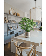 Kunstig Dieffenbachia Deluxe 75cm