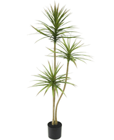 Kunstig Dracaena Fragnans 150 cm