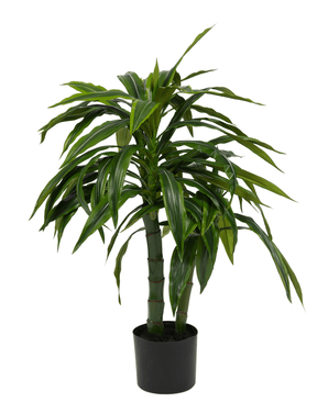 Kunstig Dracaena Plante 100cm