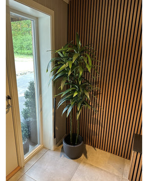 Kunstig Dracaena Tre 180cm