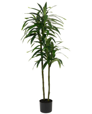 Kunstig Dracaena Tre 180cm