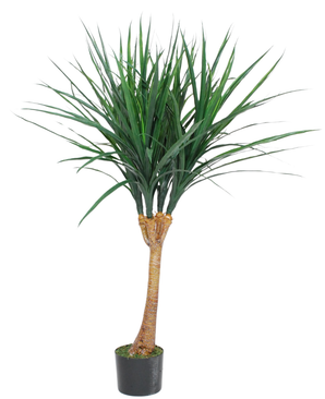 Kunstig Dracaena Tre Wild 120cm