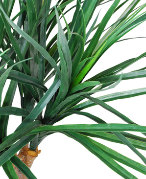 Kunstig Dracaena Tre Wild 120cm