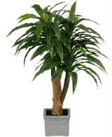 Kunstig Dracaena Tre i Sement Potte110cm