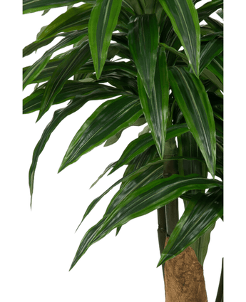 Kunstig Dracaena Tre i Sement Potte110cm