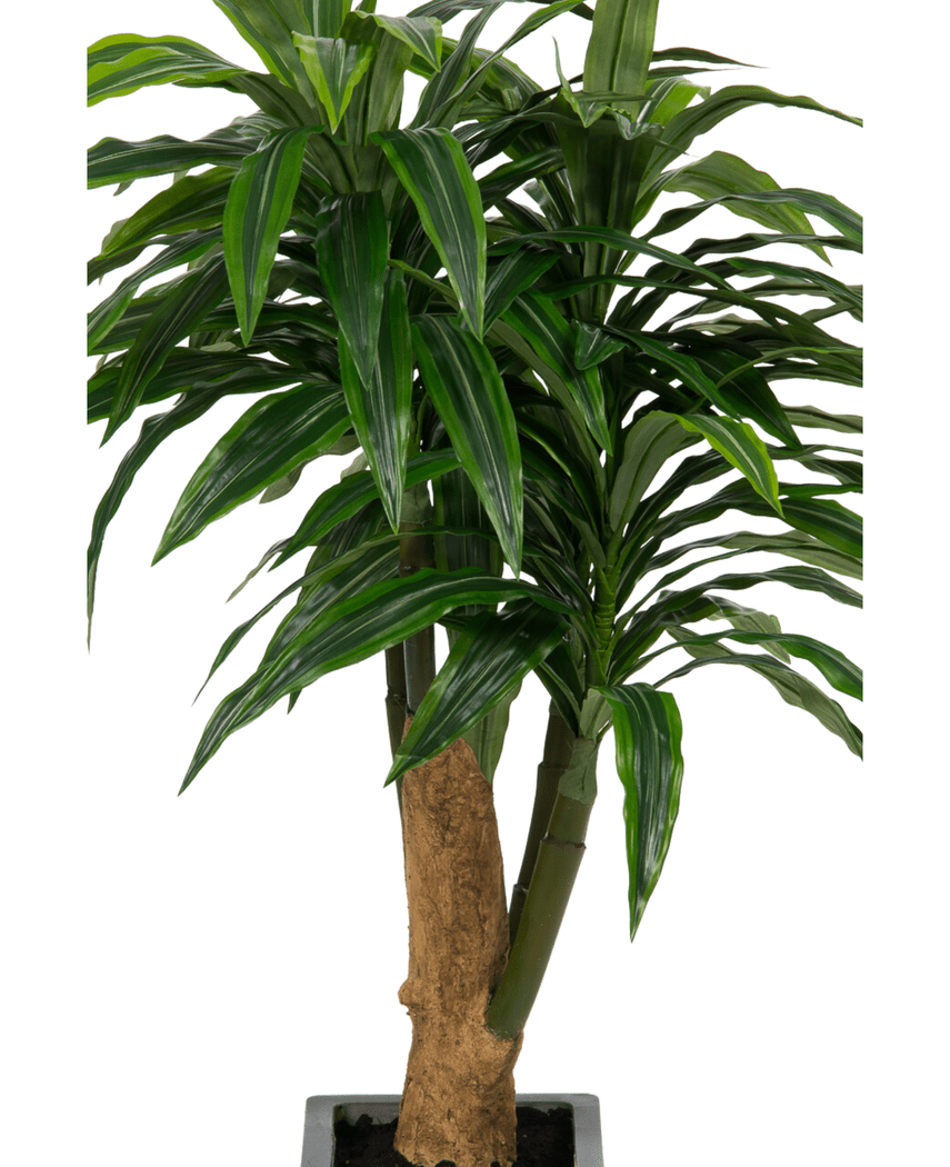 Kunstig Dracaena Tre i Sement Potte110cm