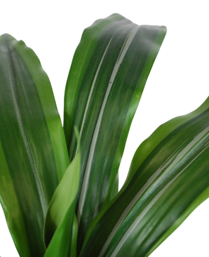 Kunstig Dracaena i Potte UV 50cm