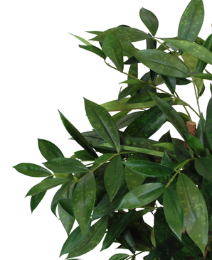 Kunstig Draceane Surcluosa Plante 70 cm