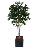Kunstig Eiketre 210cm
