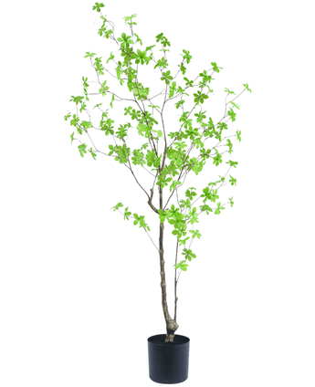 Kunstig Enkianthus Løvtre 150cm