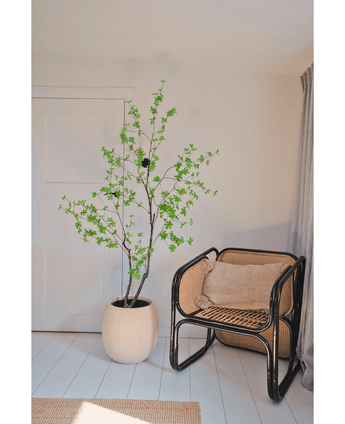 Kunstig Enkianthus Løvtre Grønn 210cm