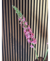 Kunstig Eremurus Rosa Fløyel M/ GullStilk 105cm