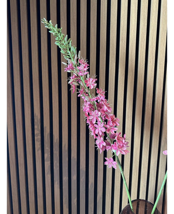 Kunstig Eremurus Rosa Fløyel M/ GullStilk 105cm