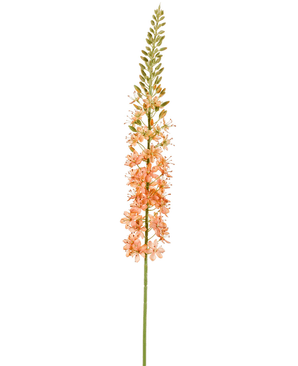 Kunstig Eremurus Stilk Fersken 105cm