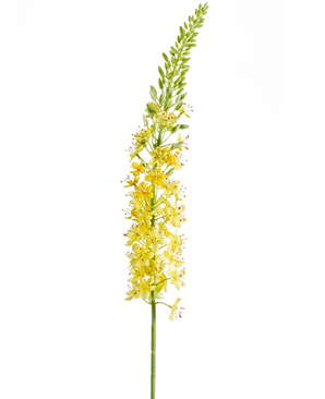 Kunstig Eremurus Stilk Gul 105cm